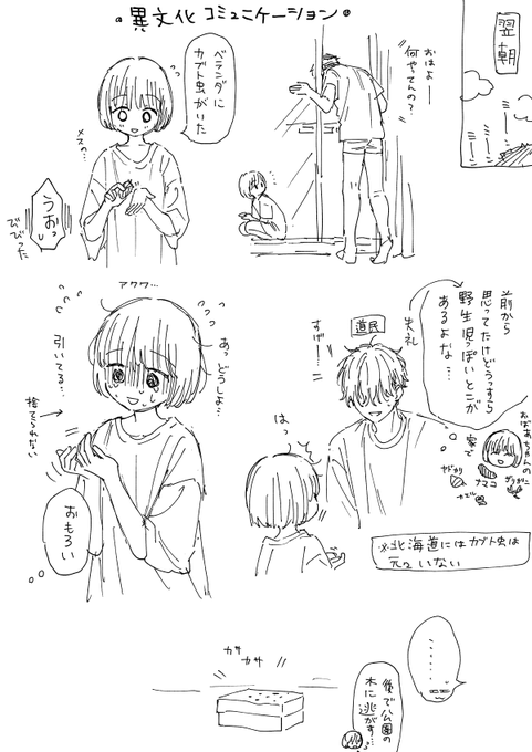 今は普通に見かけるらしいですね 