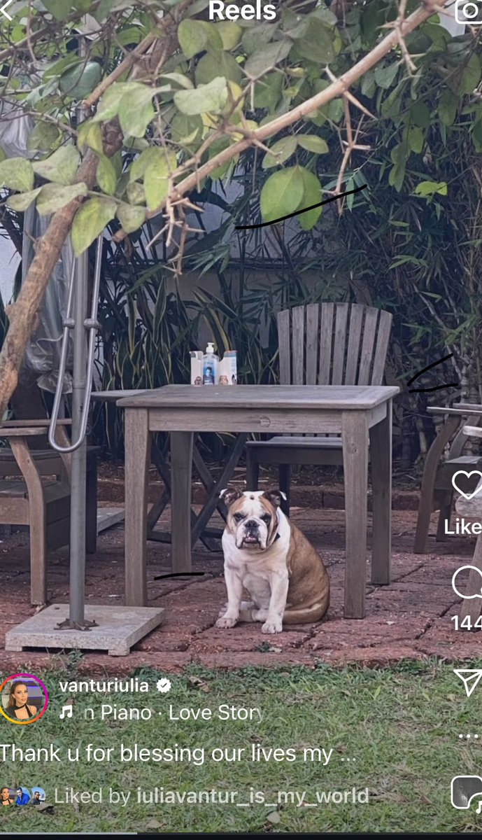 bonobtha's tweet photo. Wonder how many scripts he must hv read sitting here, had meetings theinfamous #SalmanKhan garden chair where big orsmall r entertained equally. #SalmanKhan #RipToto SK longer will under the table though. sending love to SK and Iulia #Sikandat of many hearts @IuliaVantur https://t.co/SmAzKE1OZ6