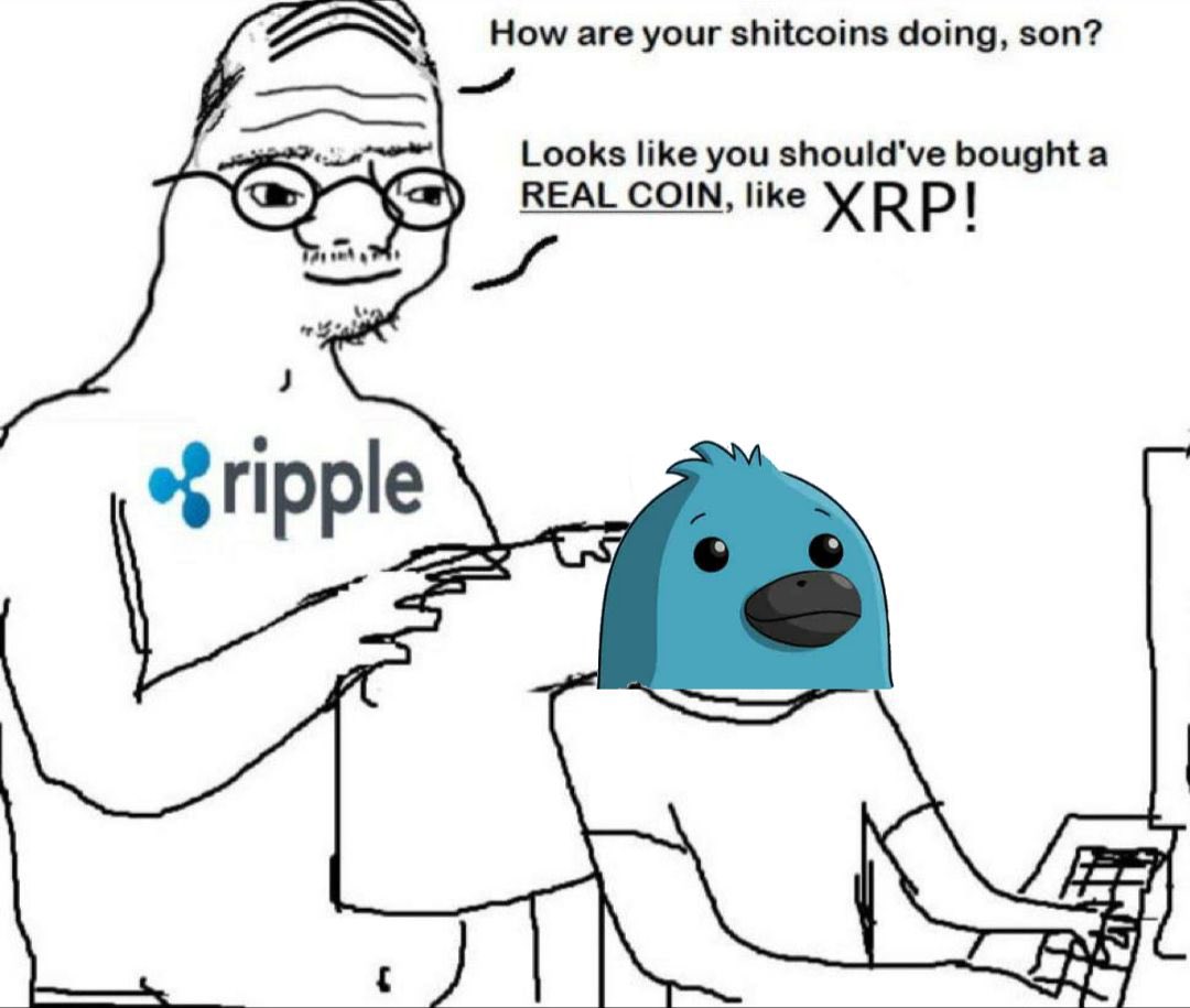 Pwaty (@xrpwaty) on Twitter photo 