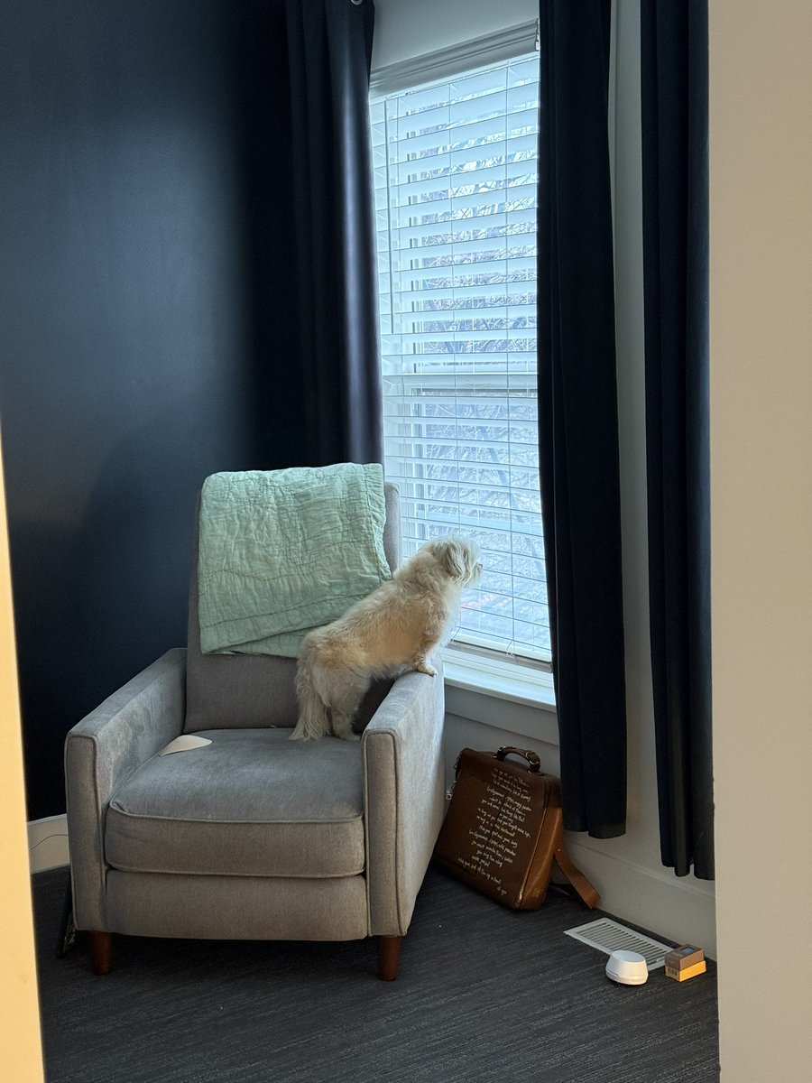 smlsmiles tweet media