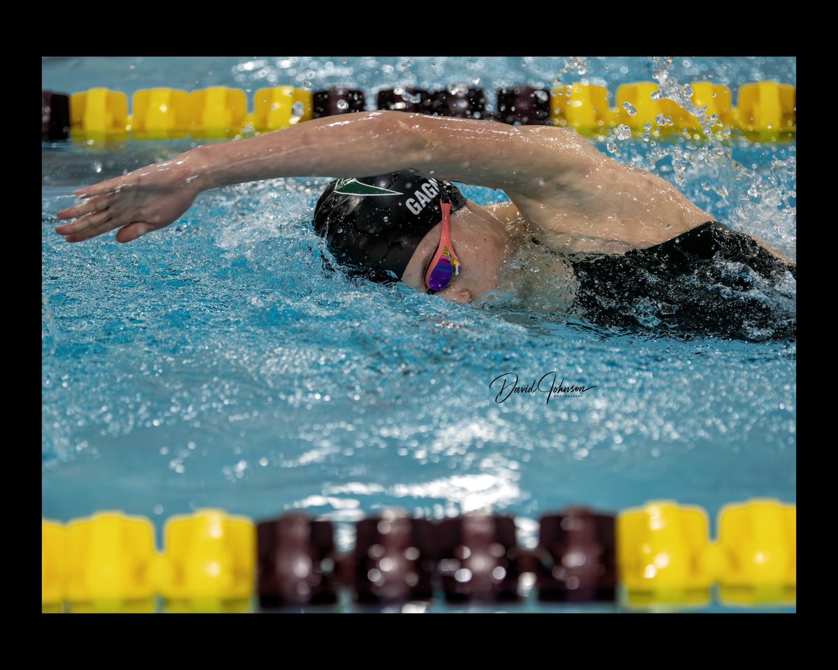 DavidJohnsonPh2's tweet photo. Fossil Ridge high girls swimming faced Windsor high this evening in an away meet. 

#swimming #sports #photographer #photograghy @fossilridge_Ath @PSD_ATHLETICS https://t.co/r26y32AJip