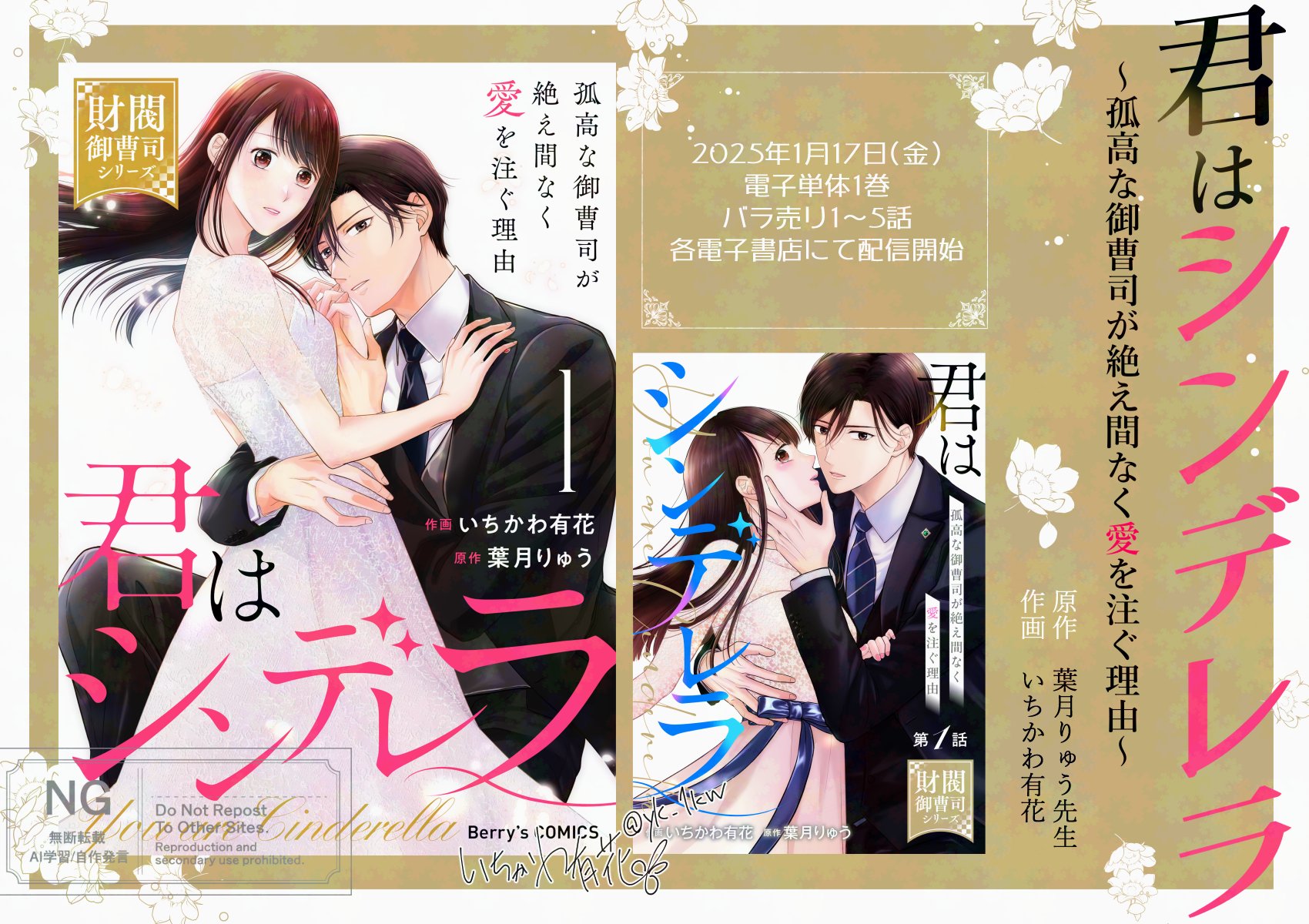 君はシンデレラ～孤高な御曹司が絶え間なく愛を注ぐ理由～【財閥御曹司シリーズ】 1 君はシンデレラ～孤高な御曹司が絶え間なく愛を注ぐ理由～【財閥