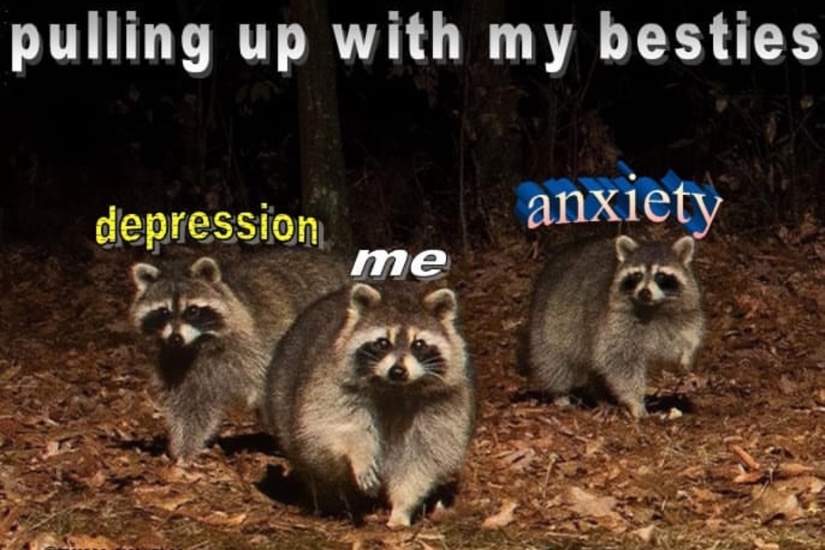 raccoon aesthetic. (@raccoonesthetic) on Twitter photo 