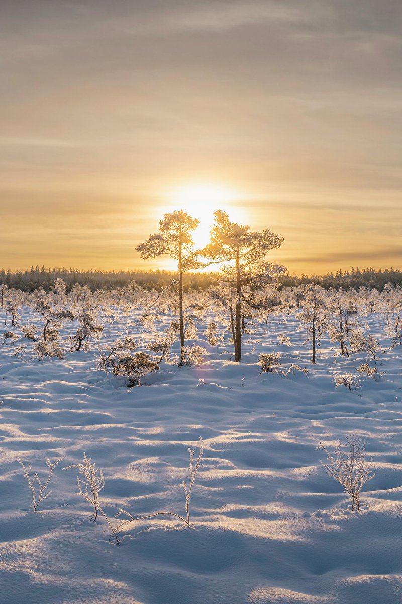 Steve58815862's tweet photo. Good morning everyone. Happy Friday 🌞☕️
#17Jan #fridayvibes #nature #naturelover #naturephotography #Wallpaper https://t.co/0r1ghIZNMM