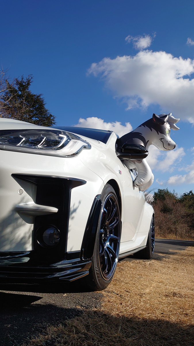 A new friend is here He seems very curious🐾  Thank you! <a href="/Dragonov96/">Dragonov of WetNose Squeak</a>