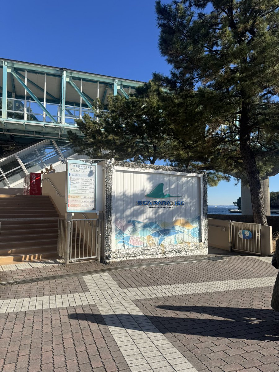 DCS_Dove23's tweet photo. シーパラ行ってきた〜✌️ https://t.co/0rcedUEaUc
