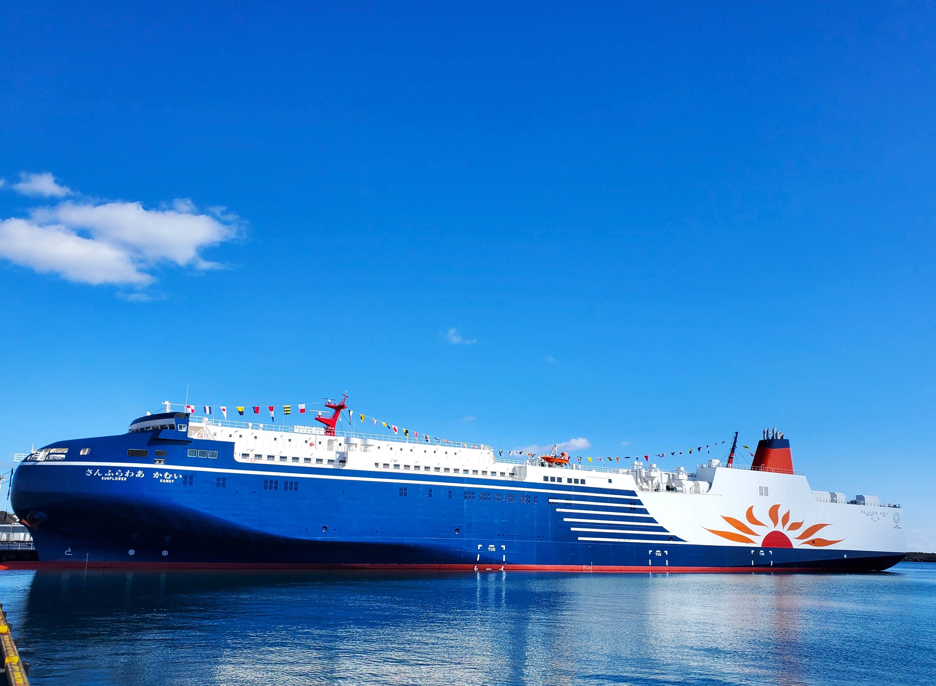 麦わら大船団② さんふらわあむらさき - フェリーさんふらわあの新造2番船が