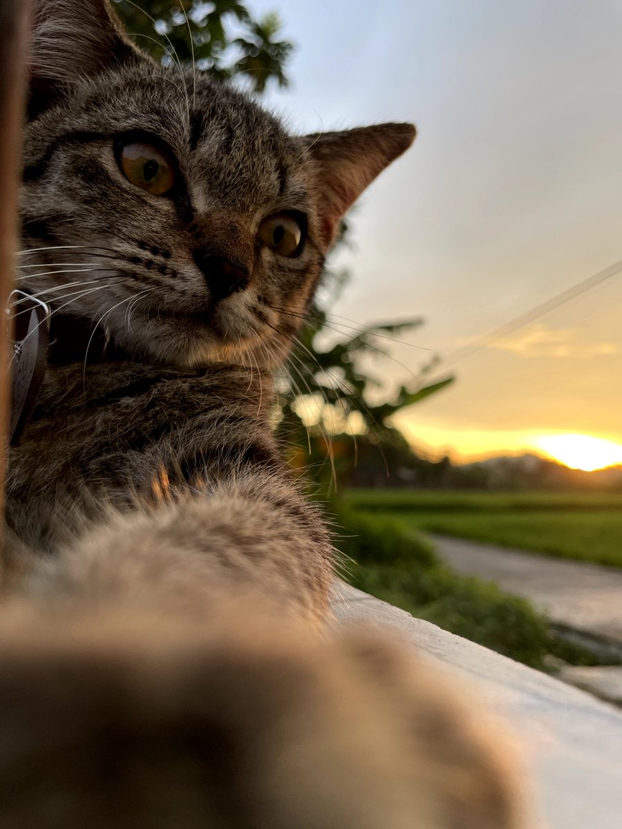 ratna fre tweet media