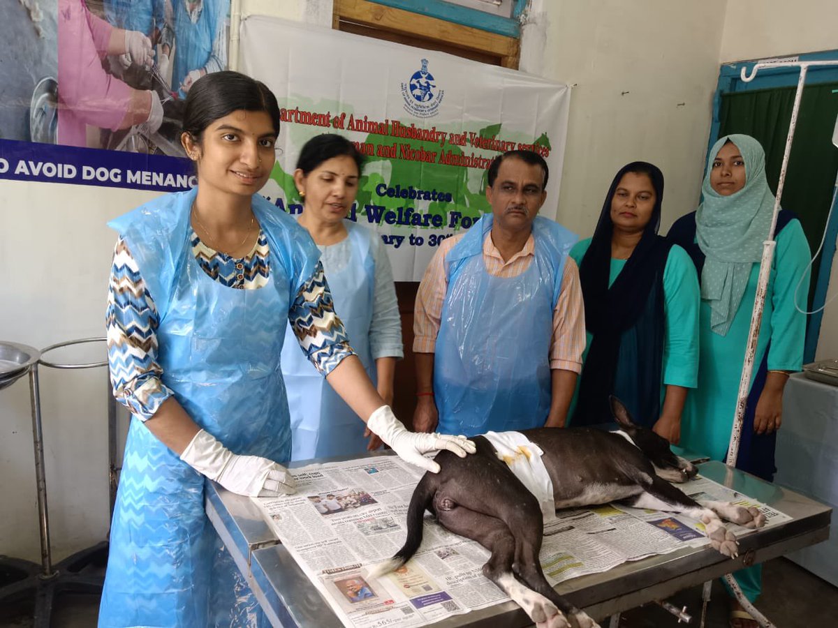 dirahvsandaman's tweet photo. As part of Animal Welfare Fortnight, a Mass ABC camp was conducted at the Veterinary Hospital in JungliGhat on 17th January, 2025. During the camp, a total of 08 no’s of dog were neutered. @Andaman_Admin @MediaRN_ANI https://t.co/dJ9lXWcCvw