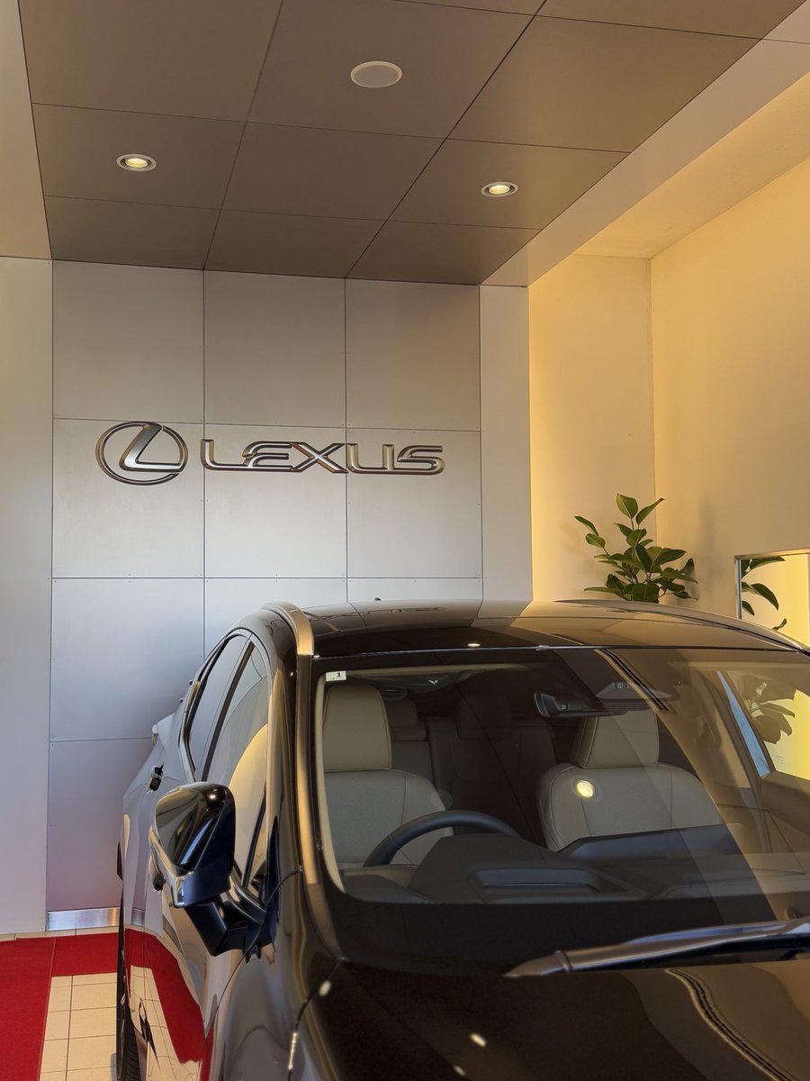 tottyページ Brute 60