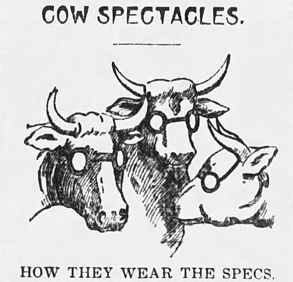 The Sunday Leader, Wilkes-Barre, Pennsylvania, February 20, 1898
