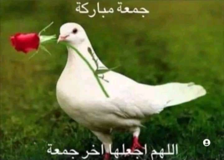 nz (@nzainaz) on Twitter photo 