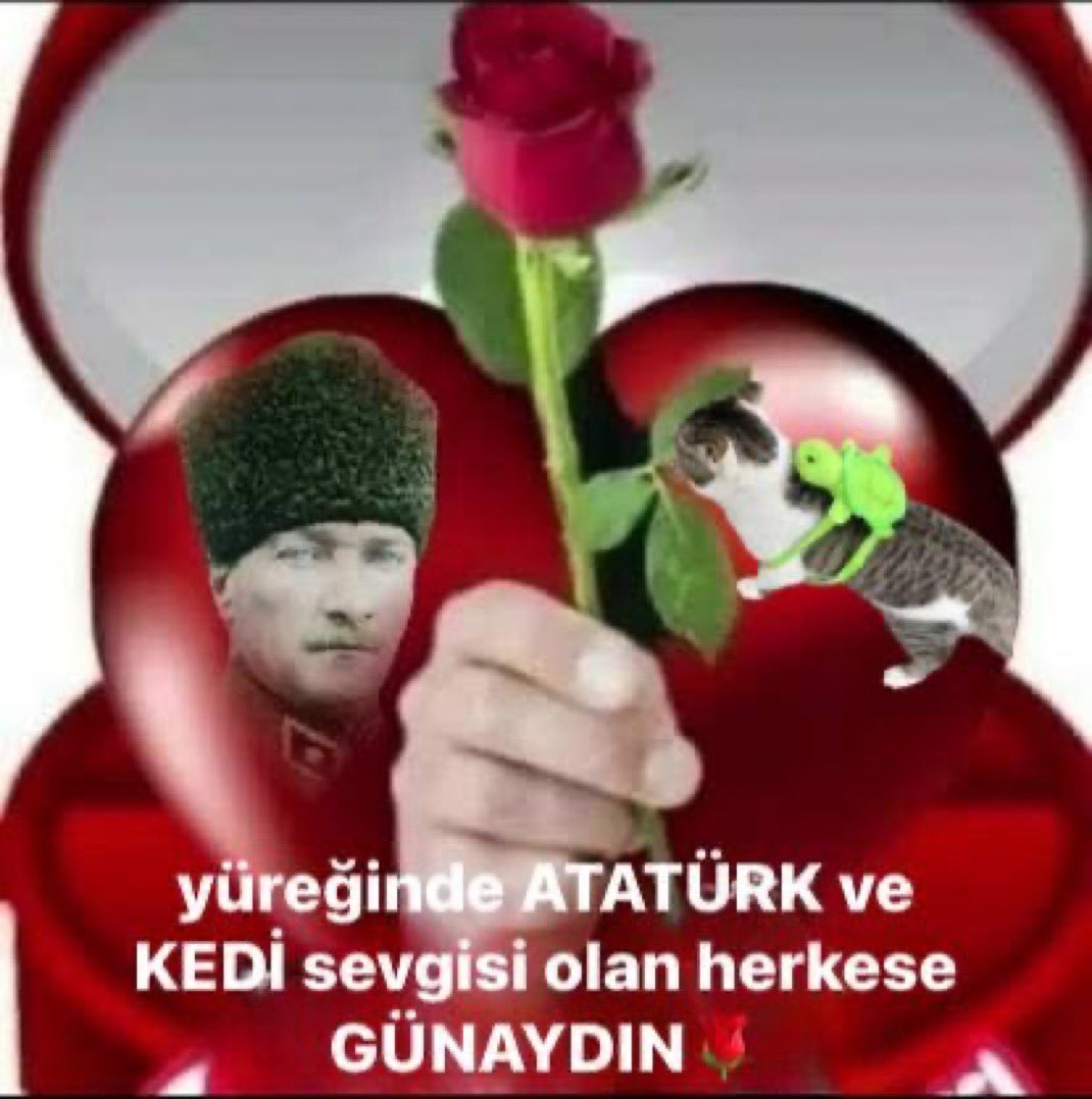 saçmasapan.mp4 (@sacmasapanmp4) on Twitter photo 