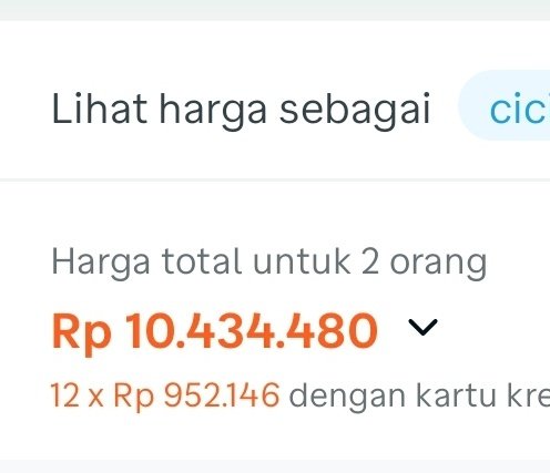 faizunn_'s tweet photo. booking tiket 4 flight trus bisa beda jauh bgt gitu harganya 🫠 
tapi emang di b**kcabin ini ga include bagasi di salah satu flight....
tapi setelah diliat lagi pl prepaid baggage ttp aja masih jauh lebih murah 🫠 https://t.co/43TD59b6AJ