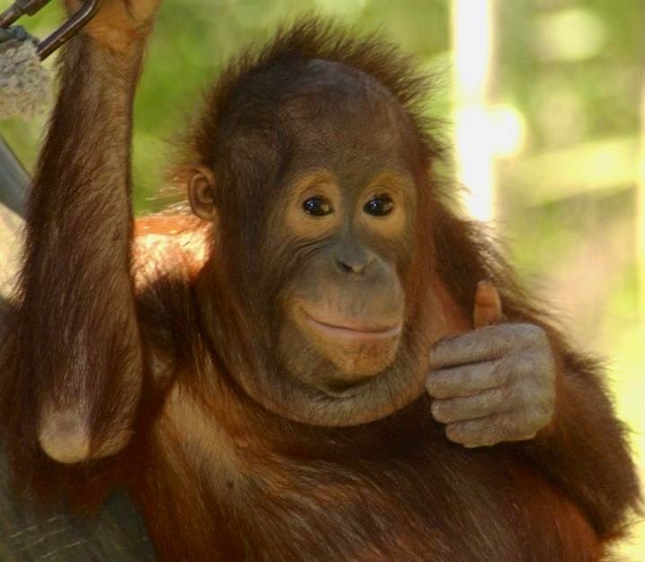 Never Underestimate the value of being Just who you Are ..  Life isn't about being Extreme all the  Time .