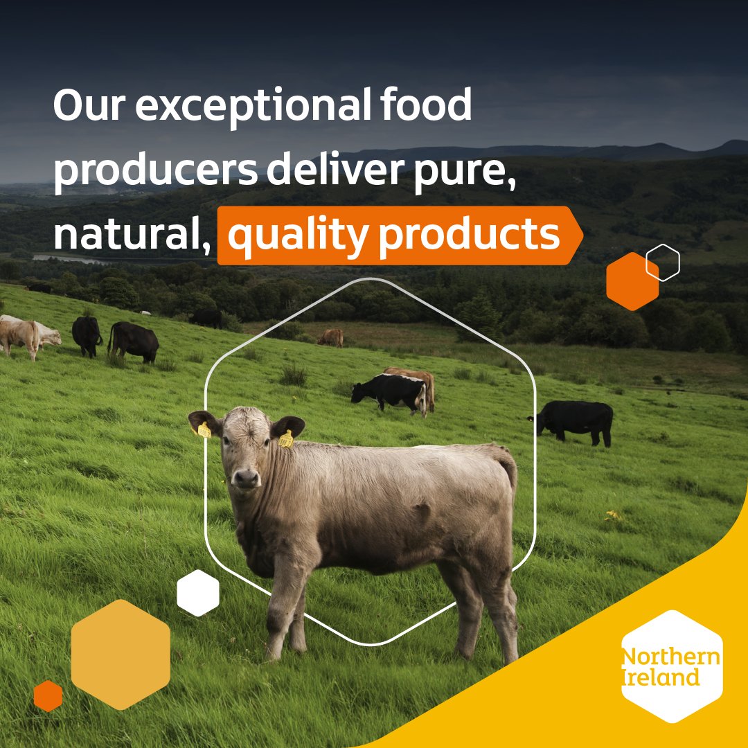 Did you know that the #food and #drink industry in #NorthernIreland is based on family farms, fishing businesses, and award-winning producers? 

We will showcase 5 Northern Ireland companies at #Gulfood 2025 in #Dubai from 17 to 21 Feb 20245. 

Visit our stand no. S1-A44.