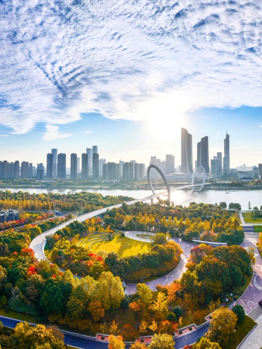 SNECONANJING's tweet photo. Winter at #Singapore #Nanjing Eco Hi-tech Island paints a serene and breathtaking scene.🖼️💕 

Take a stroll along quiet paths🚶, savor a delicate sip of tea🍃, observe the graceful descent of leaves🍁, and listen to the melodious chirping of birds🐦. This haven beckons you to immerse yourself in profound peace and solace, surrounded by joy and beauty.🥰  

@SceneryofChina @GoJiangsu @DiscoverNanjing