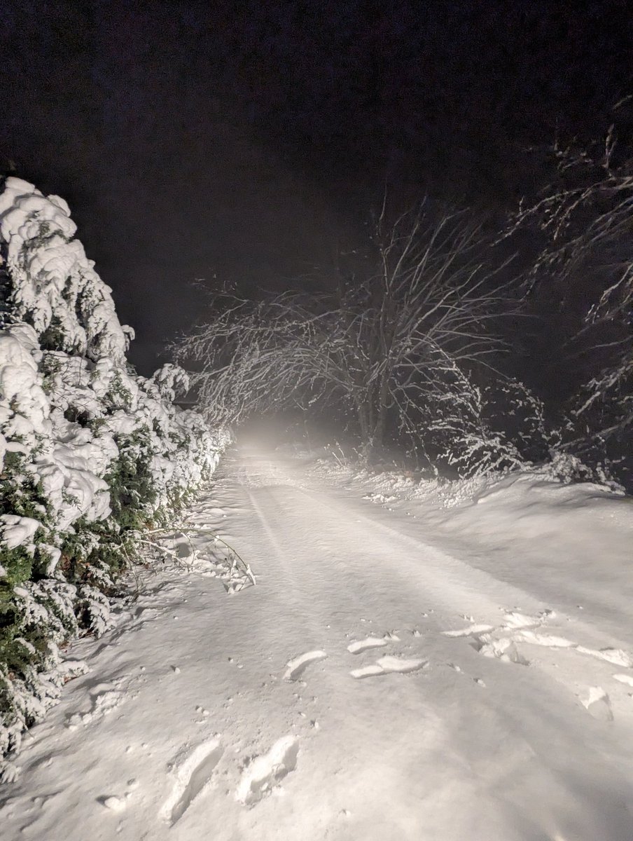 Al massís del #Montseny s'han acumulat entre 13-15 cm de #neu entorn dels 1.250 metres. Acumulacions molt variables a causa del vent. #arbucies