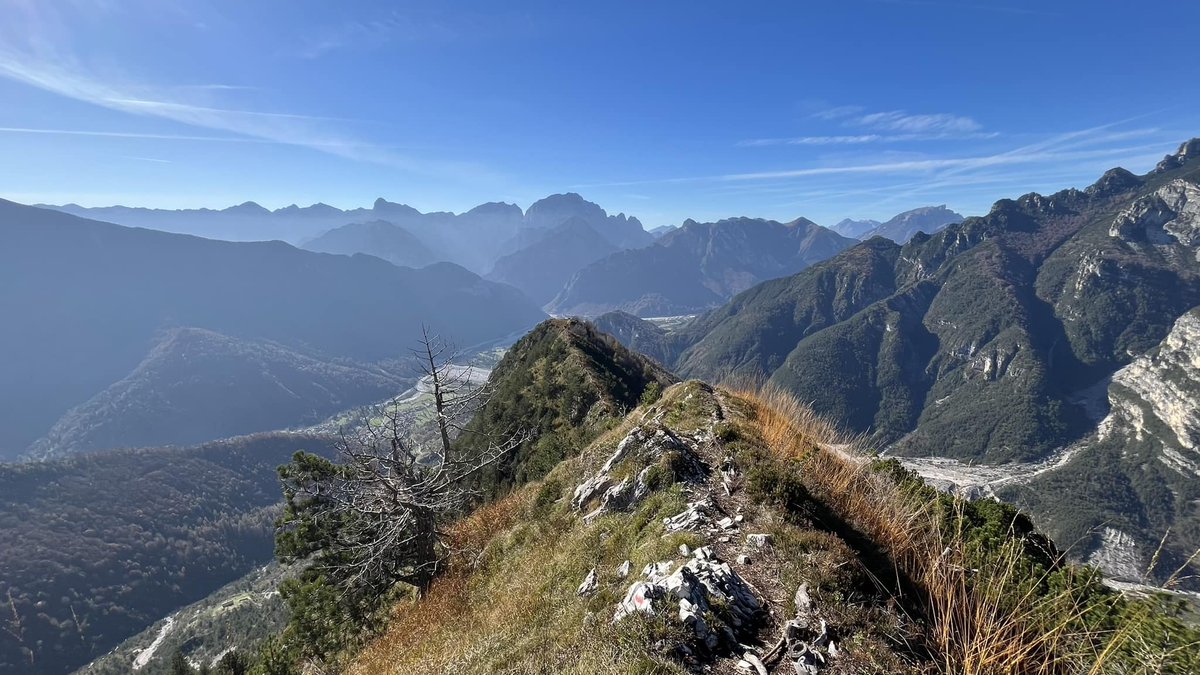 parcoDF's tweet photo. Le creste di San Gualberto a Claut

Ph. Andrea Favret

#claut #valcellina #friulidavivere https://t.co/1VbXVrY9VX