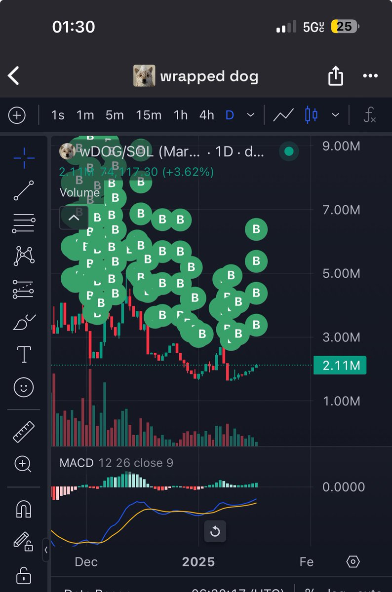 ash_quila67's tweet photo. $wDOG 
#DTO 
Buy and Hold 
Green or red candle 🕯️ https://t.co/md97MgSj69