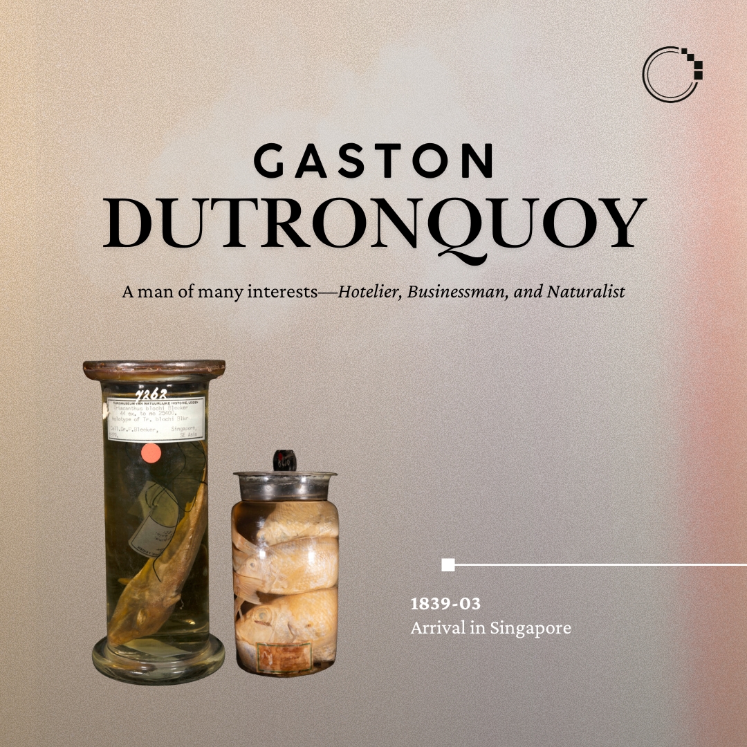 signifynathist's tweet image. Meet Gaston Dutronquoy—a hotelier, theatre-enthusiast, photographer, and collector active in the 1850s. Keep reading to learn more about his lesser-known contributions to naturalist history! 📰