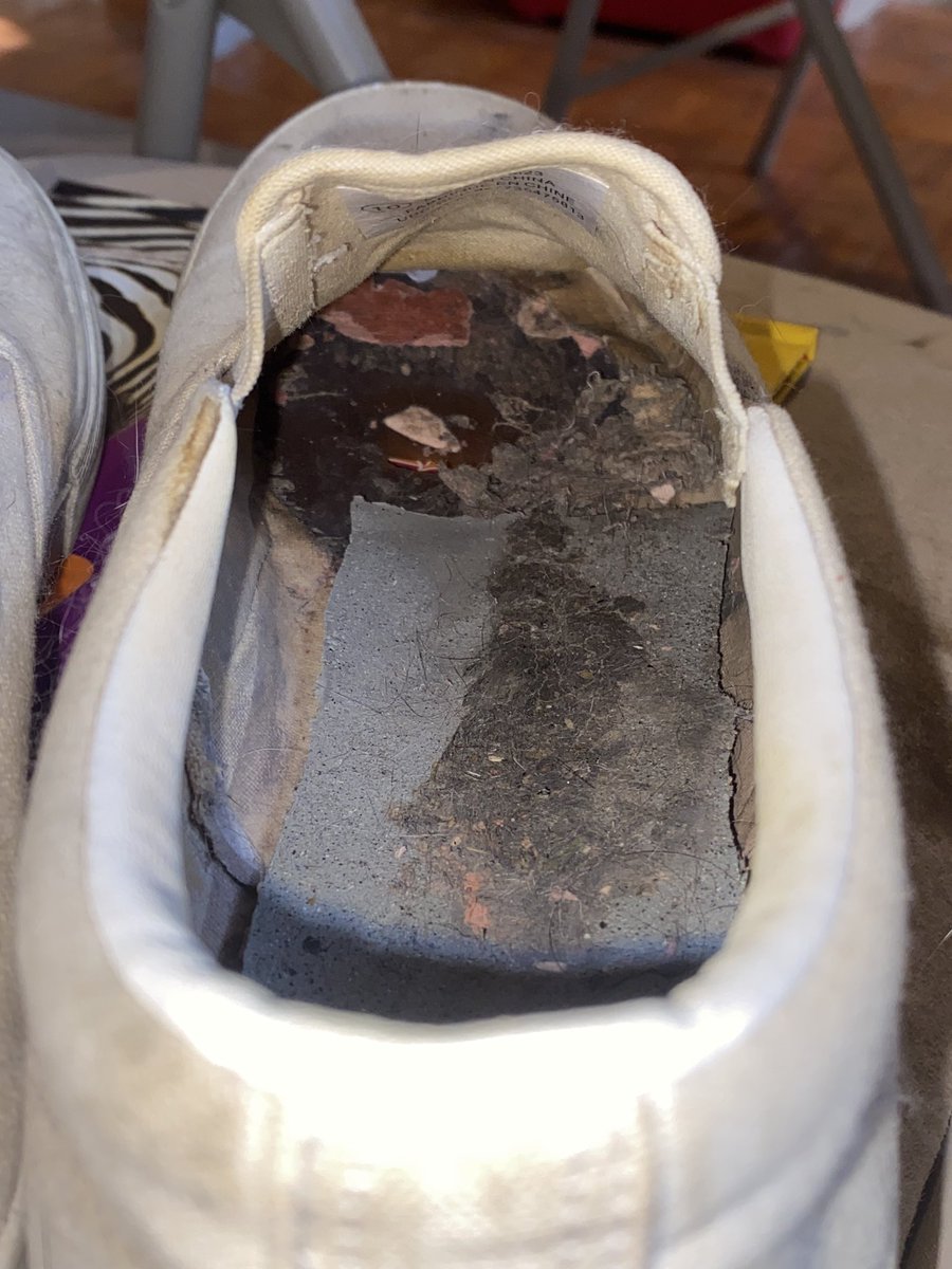 I want a new diaper baby to call my own 

Who’s going to be added to my nursery? 

Findom finsub femdom walletdrain whalesub cashcow paypig piggy humanAtm humiliation foot feet footfetish blackmail homewreck forcedbi Goddess ABDL sissy