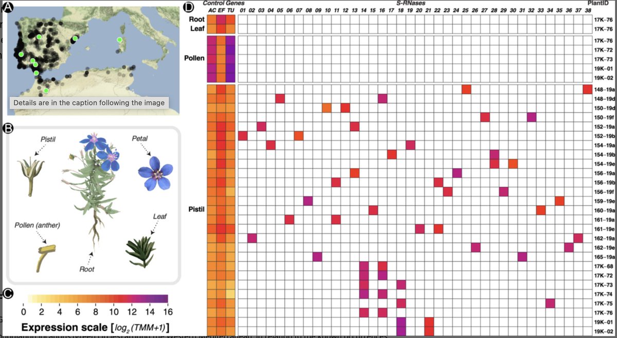 F.J.Jiménez-López tweet media