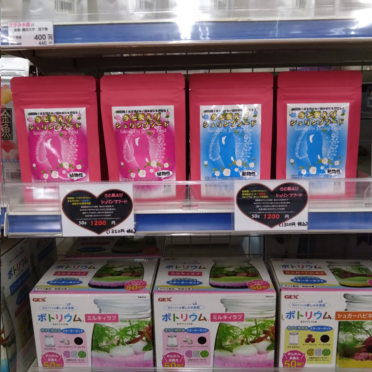 petshopJET's tweet photo. 1月18日JET厚木店新装開店です！
なんとか形になりましたので、ぜひお越しください〜。
さと美えびシュリンプフードも入荷してます！
＃コーナン厚木下荻野店
＃オープンセール生体１割引き https://t.co/VWyGjZfgst
