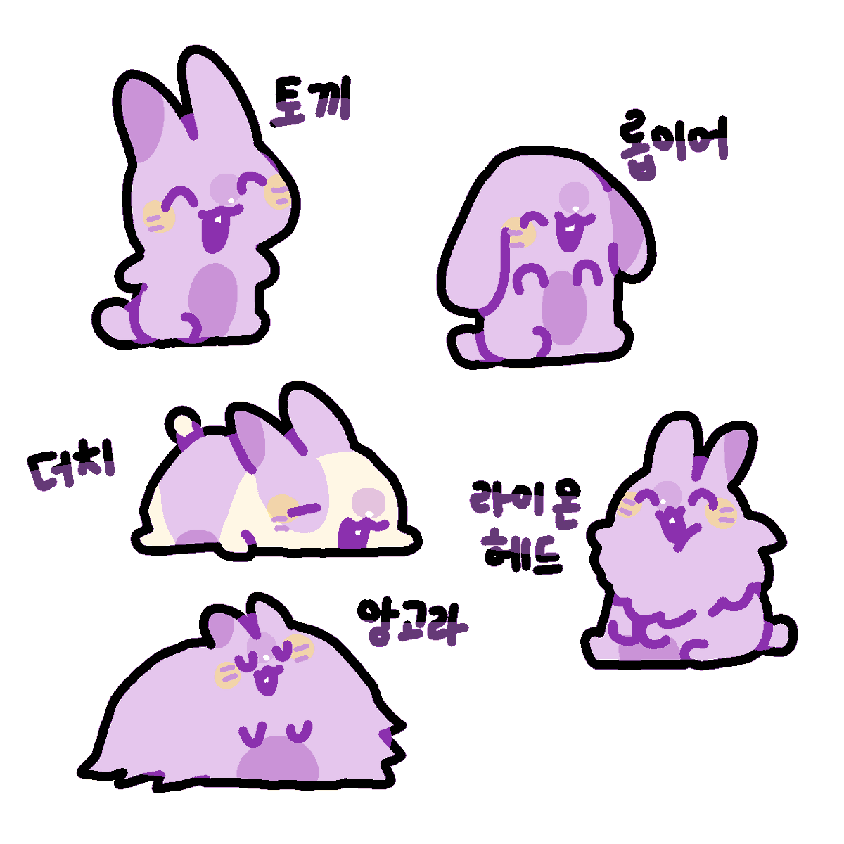 종류별로 모아보기
🐳🐰