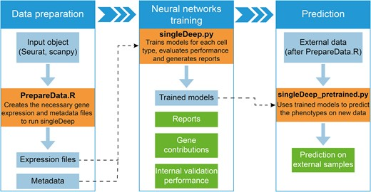 Looking for an end-to-end pipeline for  the analysis of #scRNASeq data training #DeepNN, enabling robust prediction and characterization of sample #phenotypes? 
Try #singleDeep, by Jordi Martorell-Marugán &amp; coauthors!
academic.oup.com/bib/article/26…
<a href="/FBK_research/">Fondazione Bruno Kessler - FBK</a> <a href="/MarcoChierici/">Marco Chierici</a>