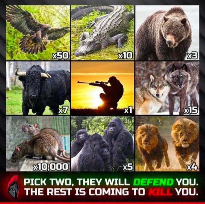 Watch 𝑀𝑜𝑛𝑖𝑐𝑎 𝐻𝑢𝑙𝑑𝑡's leaked NSFW photo on TwXstars