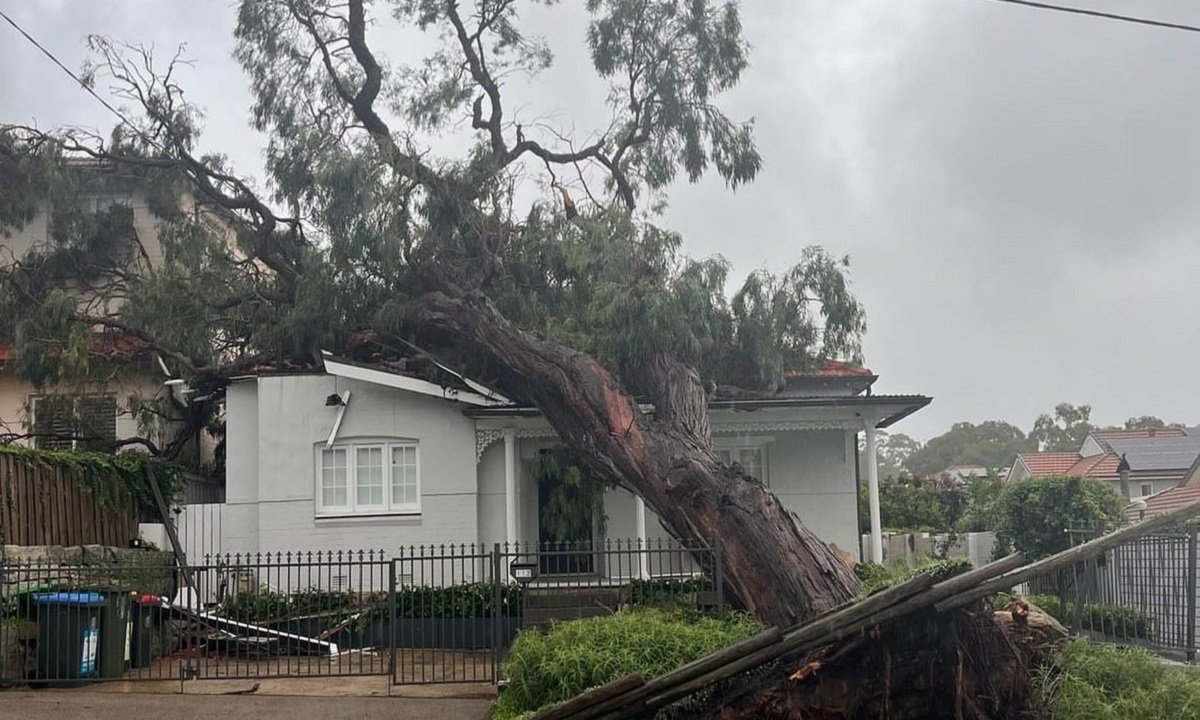 JagbaniOnline's tweet image. ਆਸਟ੍ਰੇਲੀਆ ਦੇ ਪੂਰਬੀ ਤੱਟ 'ਤੇ ਤੂਫਾਨ ਦਾ ਕਹਿਰ, ਦੋ ਲੋਕ ਜ਼ਖਮੀ (ਤਸਵੀਰਾਂ)
jagbani.punjabkesari.in/international/…
#Australia #Storm #WarningIssued