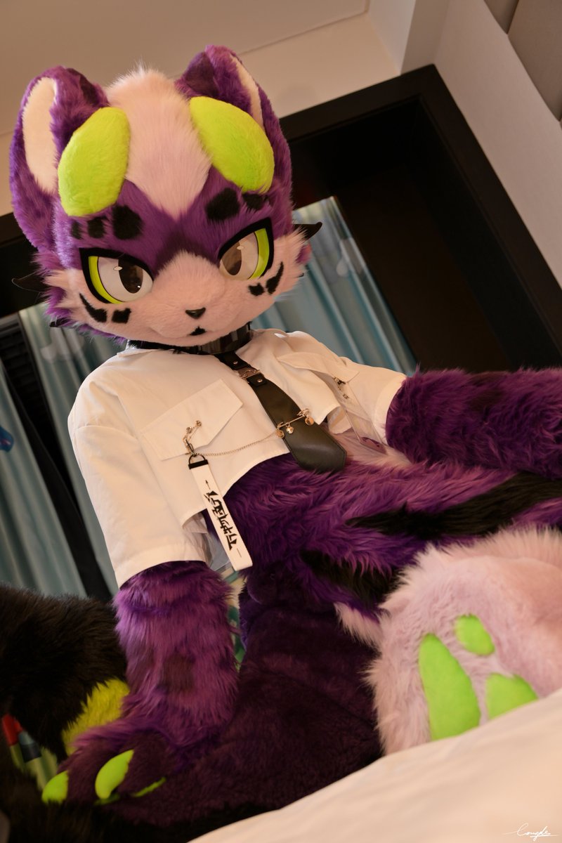 笨蛋，地上脏脏诶

📷：<a href="/Longde233/">隆德-Londer</a> 

#FursuitFriday #FURSUIT #wwpass #万物通行