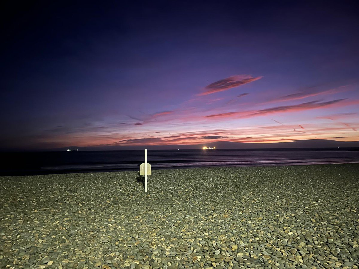 David Forde tweet media