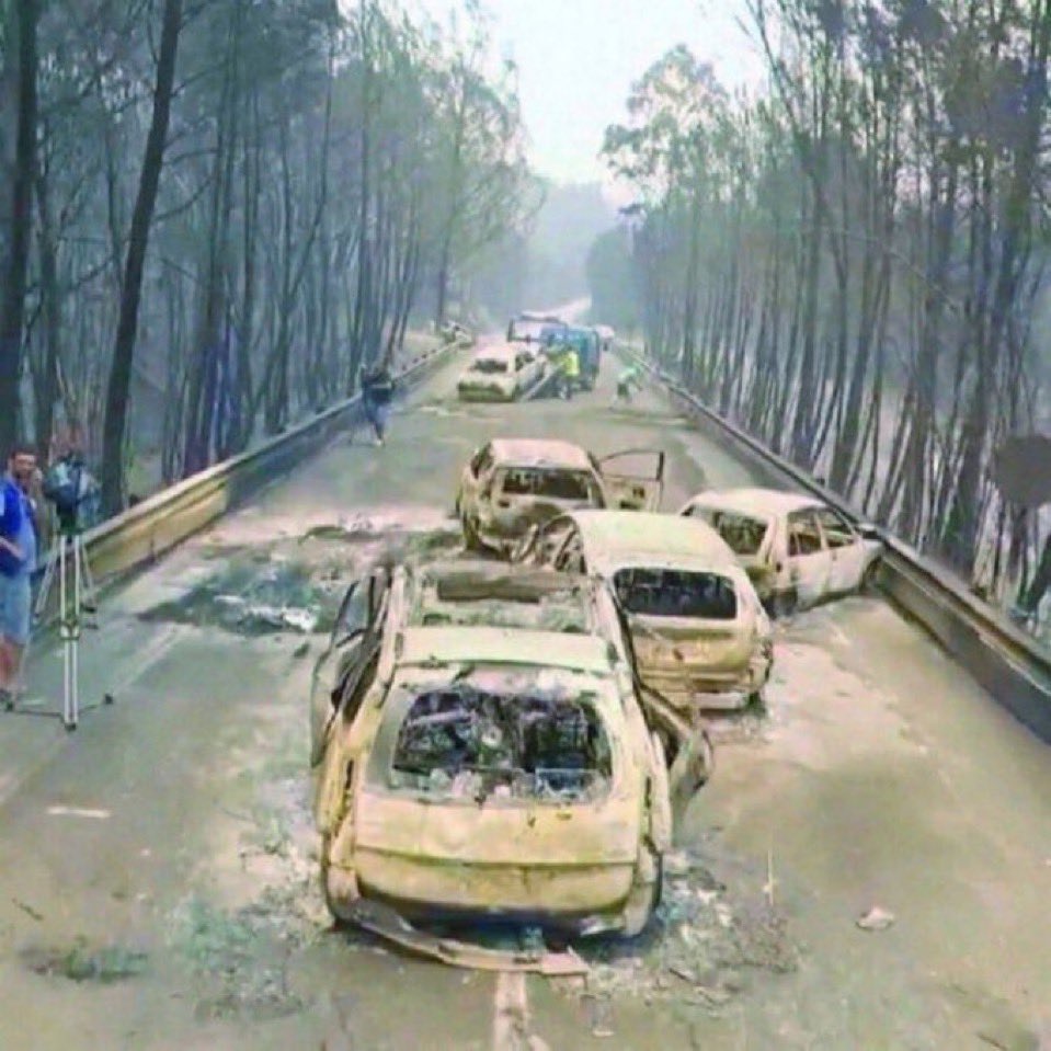 17/01/2025. 91 meses  se passaram sobre a tragédia de Pedrogao Grande. Que a memória não se apague