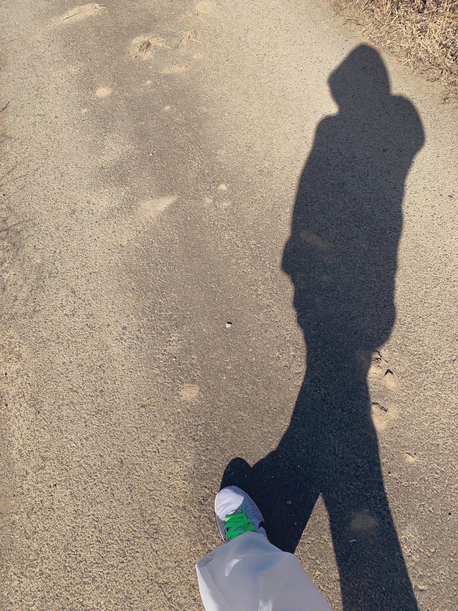 今日風強すぎてランニングキツかった