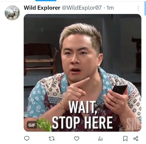 ali tweet media