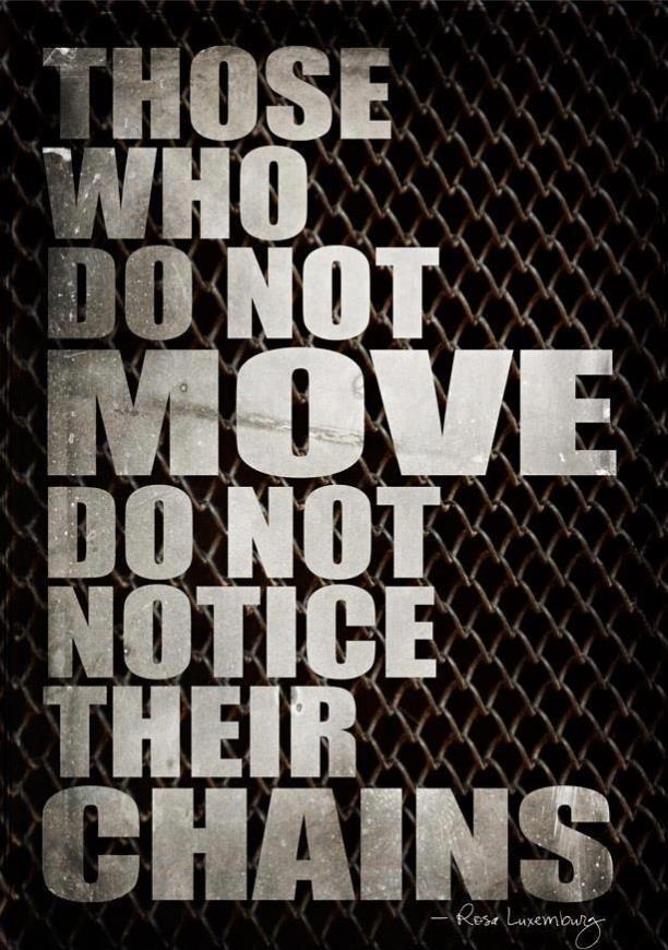 iluminatibot's tweet image. 