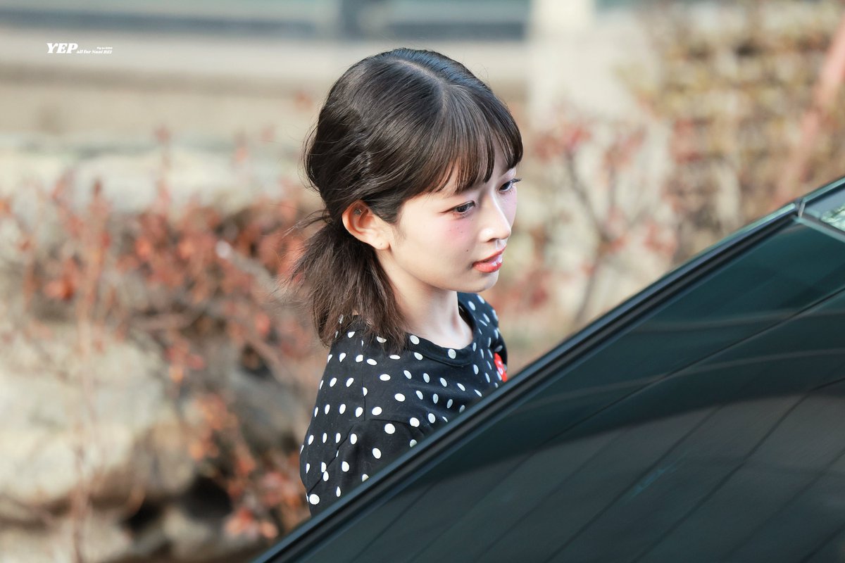250117

#IVE #아이브 
#REI #레이 #レイ