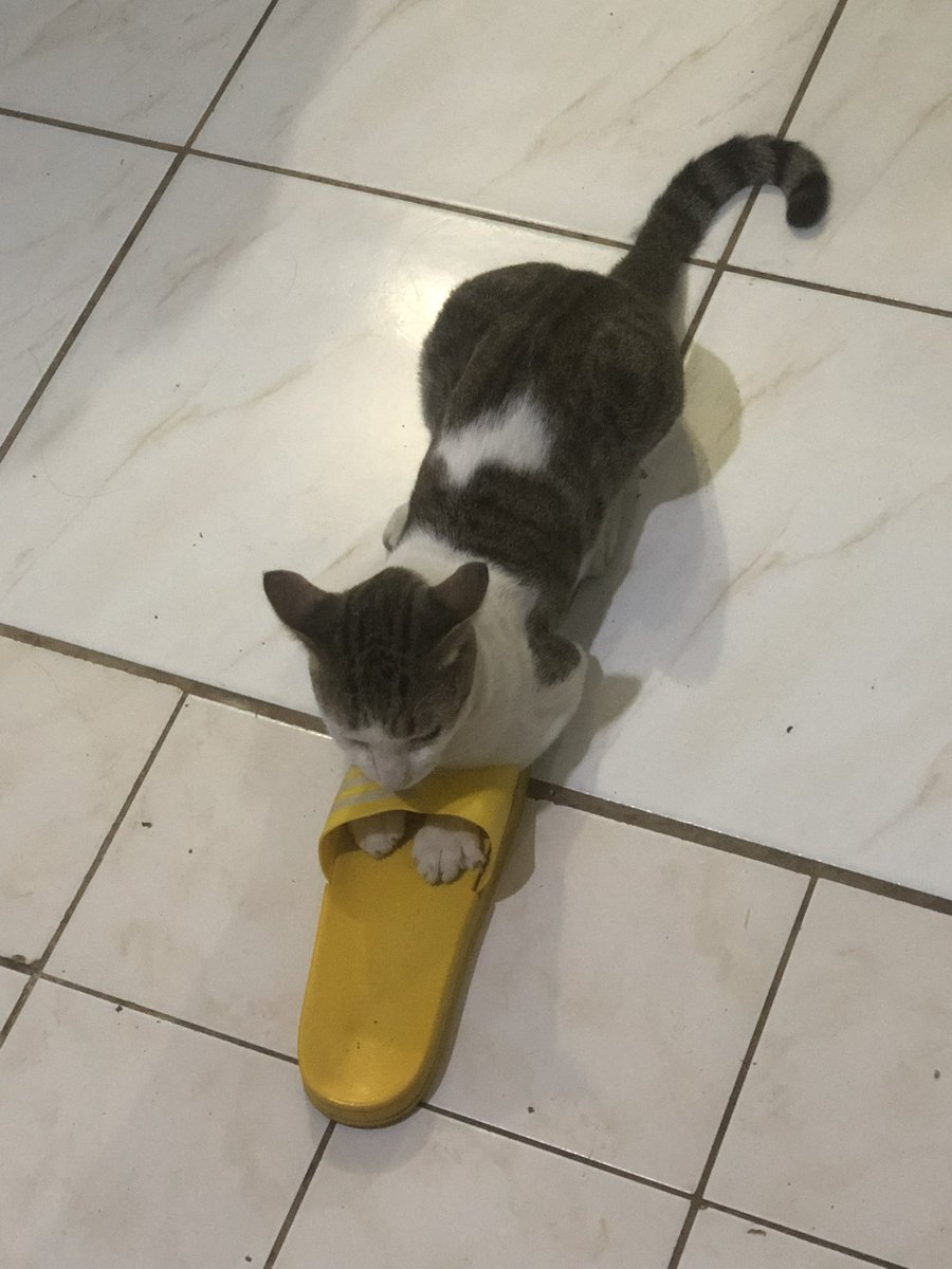 chill15mg tweet media