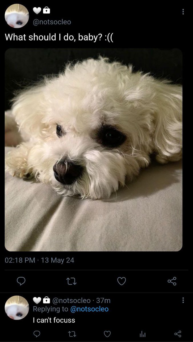 adihides's tweet photo. (2) https://t.co/i2UlA9dn2m
