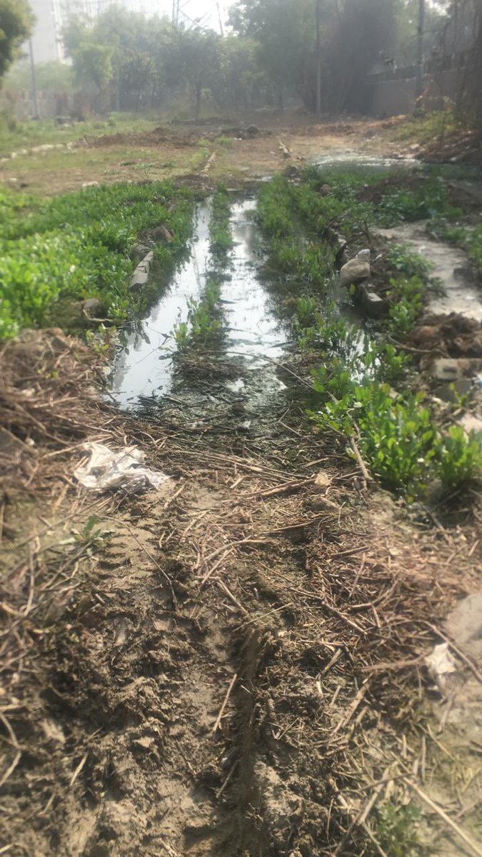 Mezzarians's tweet photo. Sector 78 Green Belt over flowing sewers. Please get the area clean. https://t.co/0B8hrB7prK