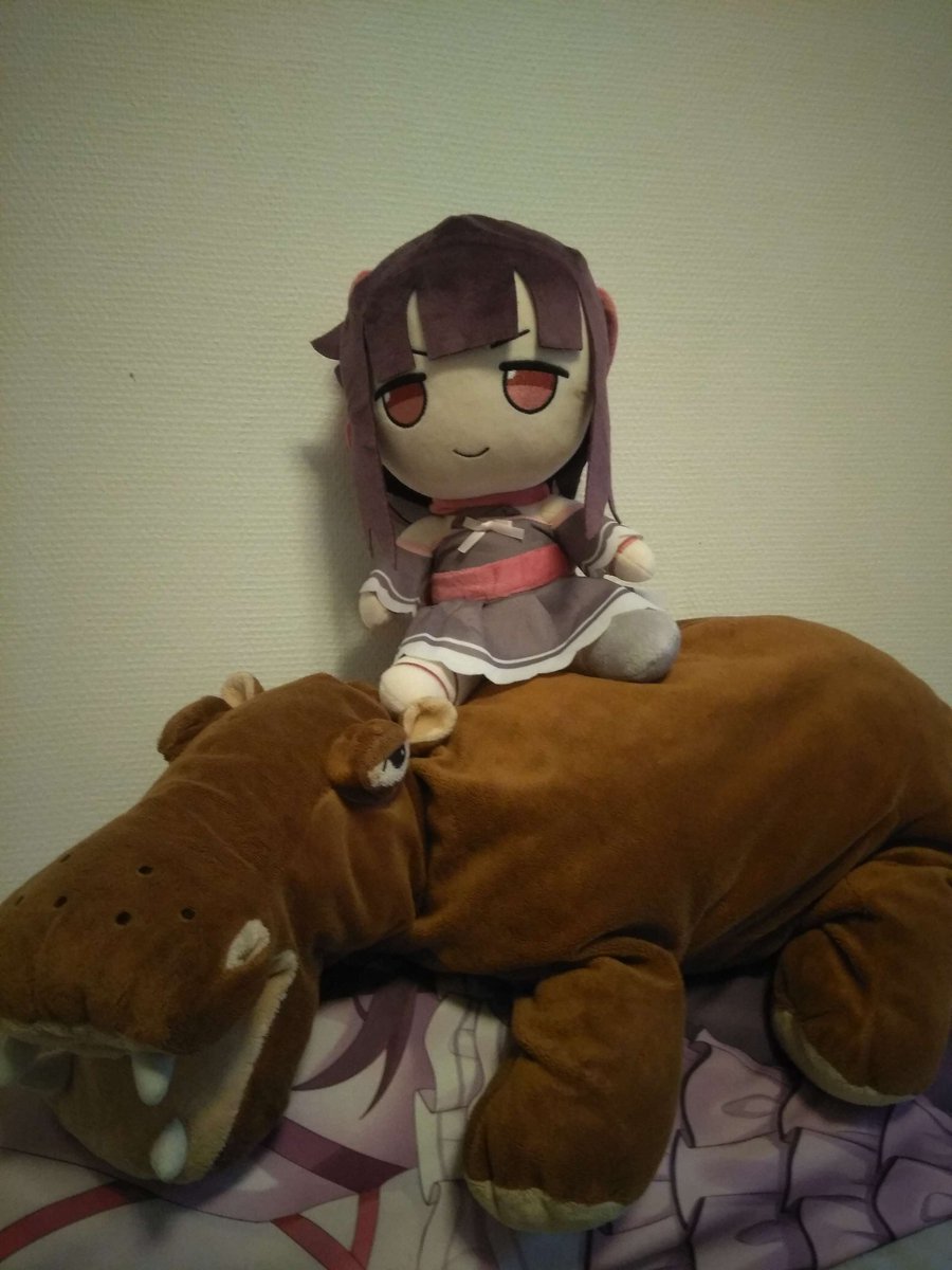 SolitudeOnion's tweet image. #shondophrenic #fallenshadowmerch Merch has arrived! Look at how messy her hair was :D . She already has found a new friend!