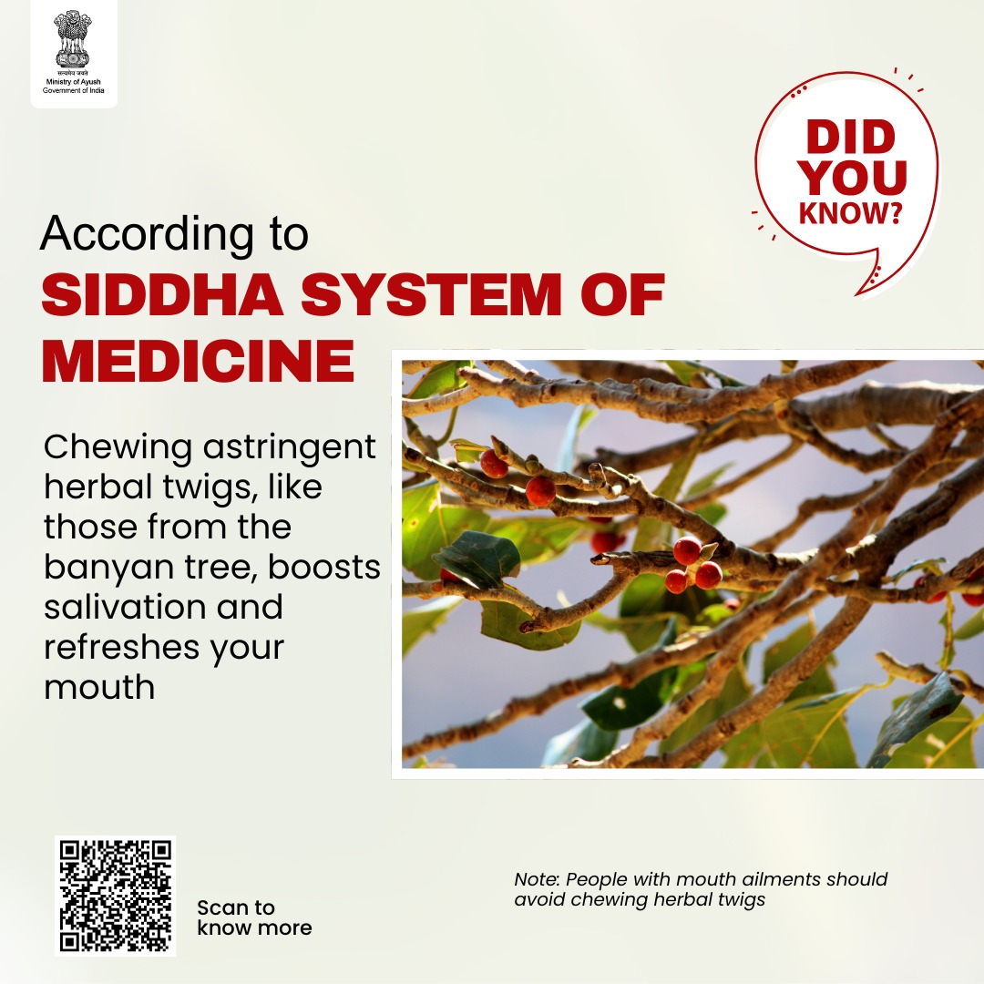 moayush's tweet image. Awaken your oral health with nature&apos;s toothbrush! 

Chewing astringent herbal twigs, like banyan tree boosts salivation and refreshes your mouth, and brings ancient care to modern smiles. 

#MinistryofAyush #Siddha #oralcare 

Click here for more: siddhacouncil.com/ccrs/wp-conten…