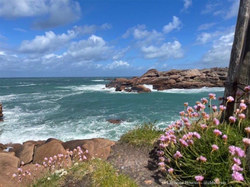 #Bretagne Pour le plaisir de partager un grand bol d’air iodé sur la côte de granit rose ! 💖💗💜