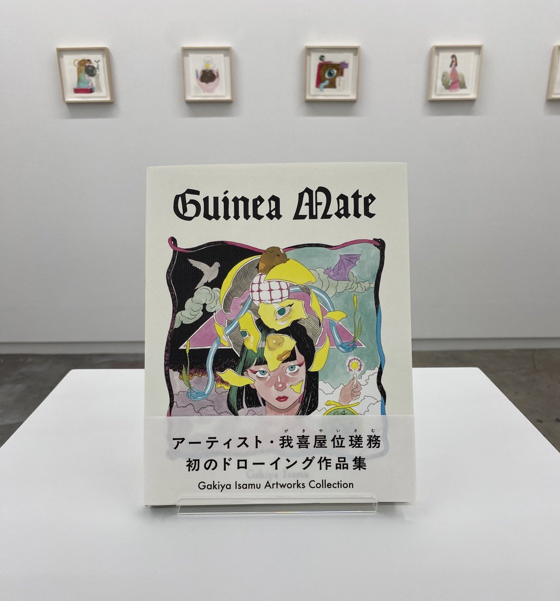 guinea mate』出版記念展 明日(1/18)から始まります。 お待ちしており