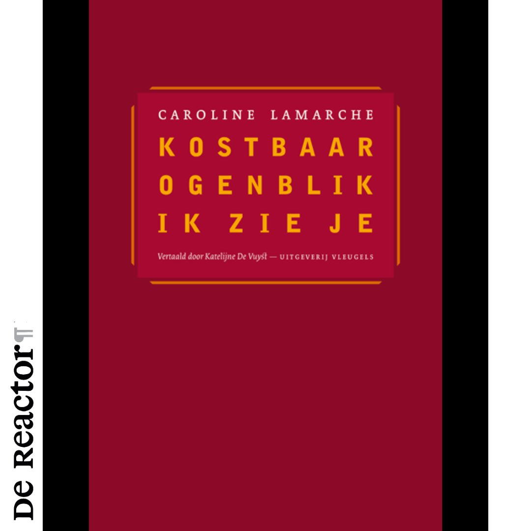 De Reactor tweet media