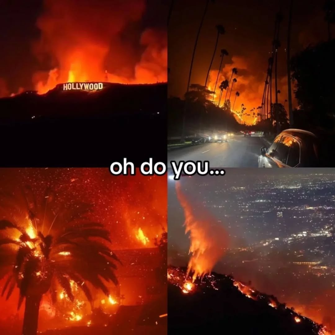 RoseWembly's tweet image. 🥹🙏

#losangeles #losangeles_city #losangelesnails #la #trump #losangelesfood #losangelesphotographer  #losangeleslakers #losangeles_la #losángeles #usa #losangelescalifornia #losangeleslife #california #u #californialove #californiadreaming #californialiving