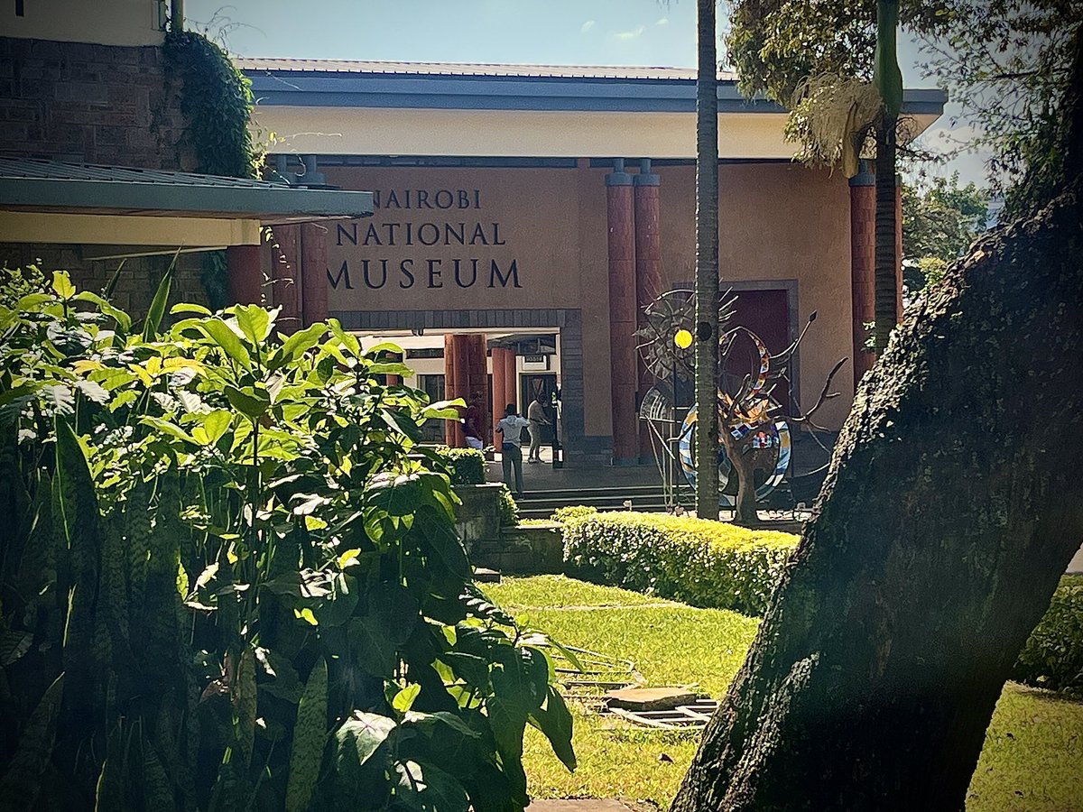 Marta Pina (@_martapina_) on Twitter photo #Fieldwork
In one of my favourite places in the world <a href="/museumsofkenya/">National Museums of Kenya</a> 💚🦍🇰🇪
Thank you <a href="/ashleyshammond/">Ashley Hammond</a>!
#BPpostdoc <a href="/gencat/">Generalitat de Catalunya</a> <a href="/ICP_MCrusafont/">Institut Català de Paleontologia Miquel Crusafont</a> #Fieldwork
In one of my favourite places in the world <a href="/museumsofkenya/">National Museums of Kenya</a> 💚🦍🇰🇪
Thank you <a href="/ashleyshammond/">Ashley Hammond</a>!
#BPpostdoc <a href="/gencat/">Generalitat de Catalunya</a> <a href="/ICP_MCrusafont/">Institut Català de Paleontologia Miquel Crusafont</a>
