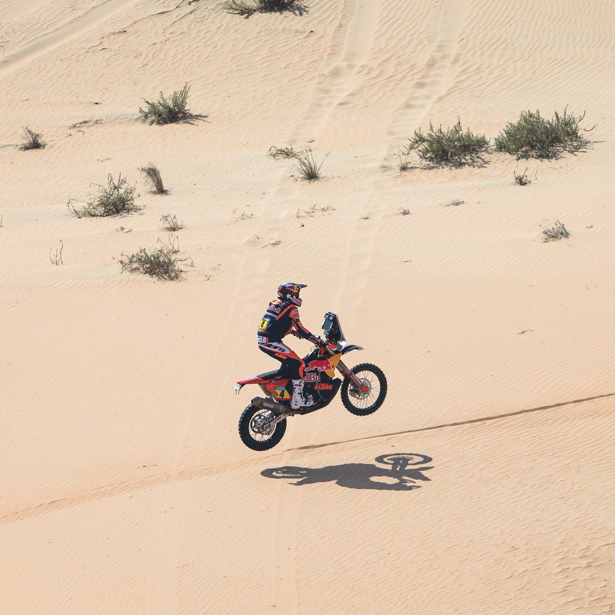Everything Moto Racing tweet media